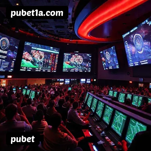 Termos e Condições Transparentes pubet